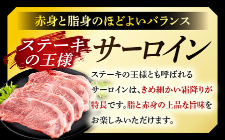牛肉 宮崎牛 サーロイン ステーキ 1kg 牛肉