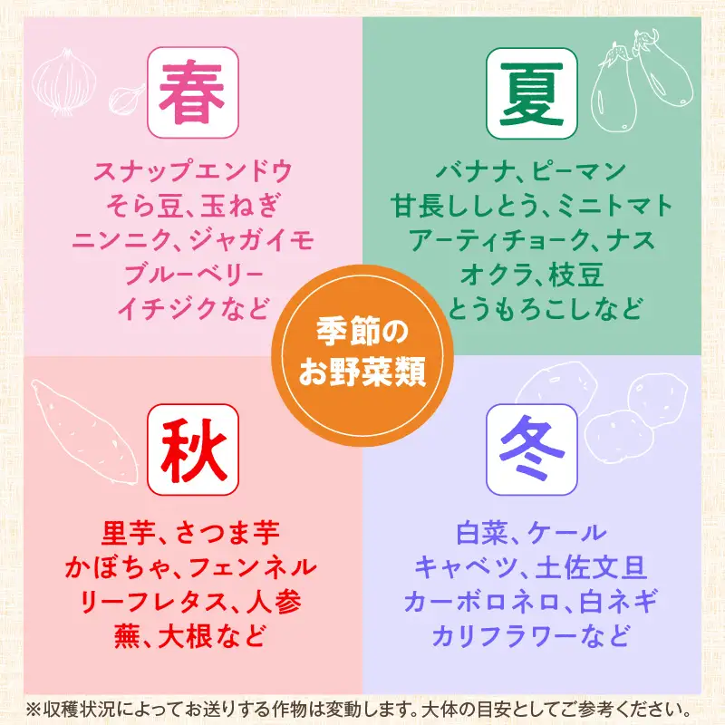 農業姉妹がこだわって栽培！白米5kgと旬の野菜詰め合わせ8種 半年定期便【024A-028】