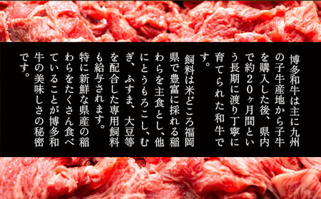 牛肉 博多和牛 切り落とし 500g 2p [um40azp010006] 和牛