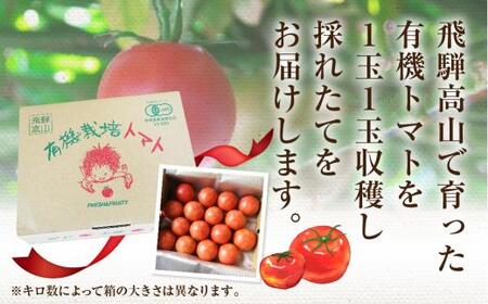 【2026年夏 先行予約】（8月上旬から順次発送予定）飛騨高山産 有機トマト「王様トマト」3kg | 大玉トマト とまと 麗月 れおん 野菜 樹熟 飛騨高山 山藏農園 JC011