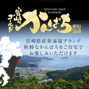 鰤屋金太郎【冷蔵】かんぱちスキンレスロイン2000g N018-YD0261-1