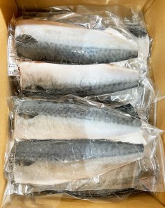 塩さばフィレ24枚入(真空パック入)◇｜ｻﾊﾞ ｻﾊﾞ ｻﾊﾞ ｻﾊﾞ ｻﾊﾞ ｻﾊﾞ