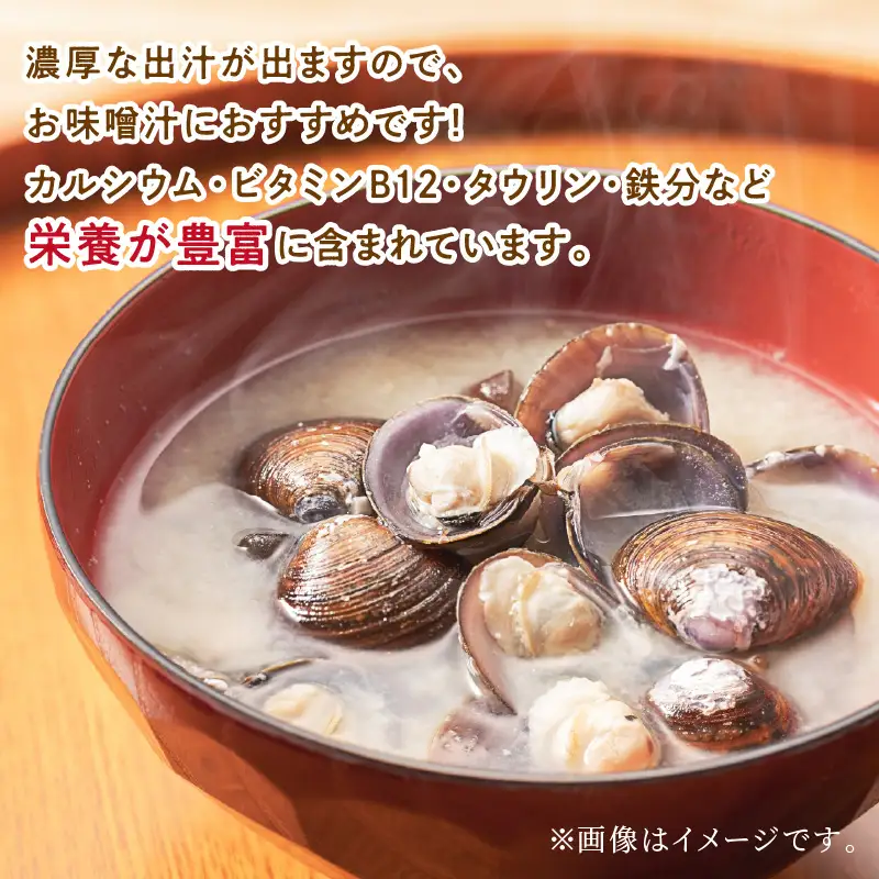 《14営業日以内に発送》北海道産 冷凍しじみ 500g×3袋 ( 魚介類 貝類 しじみ シジミ 1.5キロ 冷凍 カルシウム ビタミンB12 タウリン 鉄分 味噌汁 )【114-0076】
