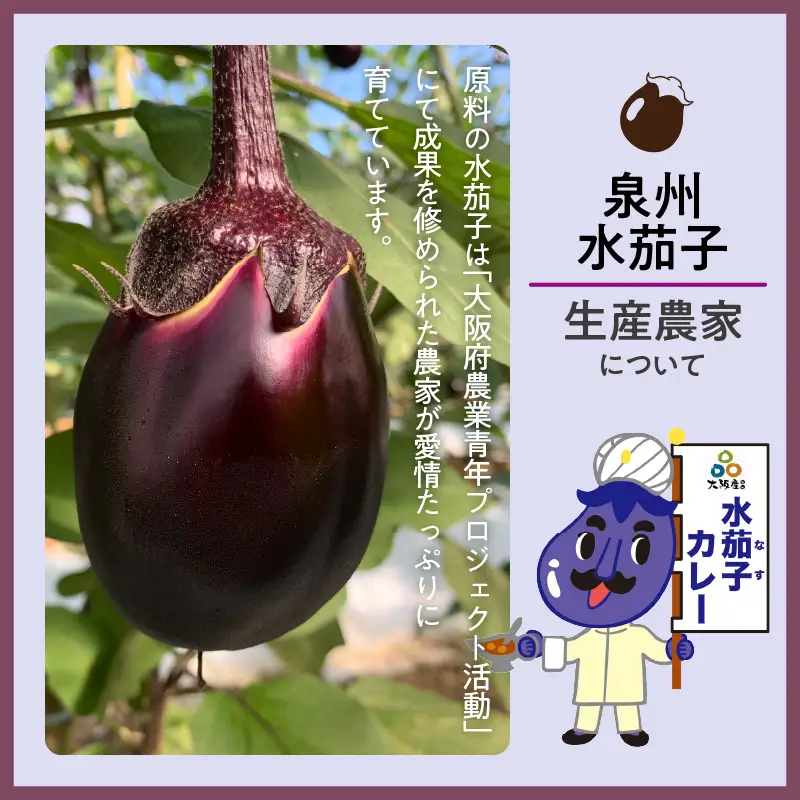 大阪産（おおさかもん）泉州水なすカレー 4箱（レトルト 常温 簡単調理 レトルト食品 レトルトカレー かれー カレー カレールウ カレールウセット カレールー カレールーセット 人気カレー おすすめ 人気 泉南市 水茄子 茄子 なす）【041E-006】