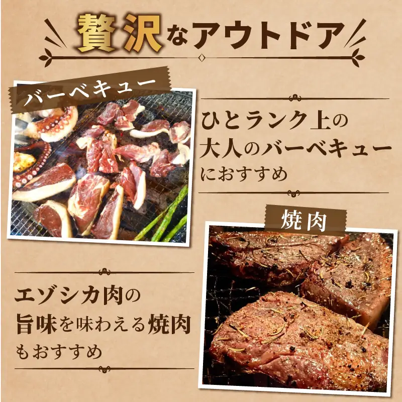 北見エゾシカ熟成（ドライエイジング）ロースステーキ 約280g ( 国産 国産肉 肉 鹿肉 ジビエ ロース ステーキ肉 熟成肉 希少部位 )【025-0031】
