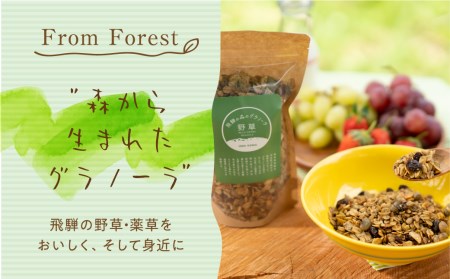 飛騨産野草が入った飛騨の森の グラノーラ 3袋 3回 定期便 オートミール 無添加 シリアル 自然派 ハトムギ[Q382x]