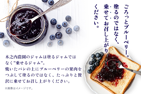 手作り いちごジャムとブルーベリージャム 木之内農園  1kg×2本｜ジャムジャムジャムジャム