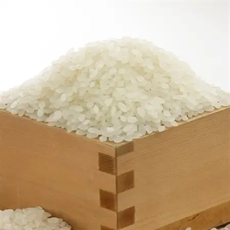 令和7年産　特別栽培米あきたこまち　無洗米5kg【配送不可地域：離島・沖縄県】【1283154】