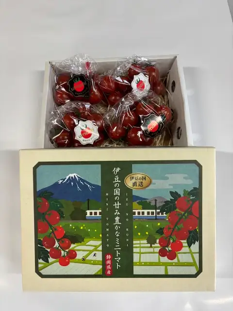 umamiトマト（化粧箱入り）