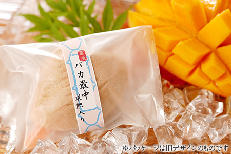 【富津名物】バカ最中（10個入り）