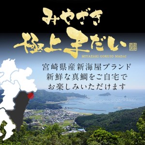 鰤屋金太郎【冷凍】たいスキンレスロイン500g N018-YA3373-2