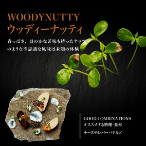 【マイクロハーブ セット（C）／プレミア5】 [h173]