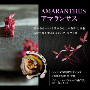 【マイクロハーブ セット（D）／スターターA】 [h173]