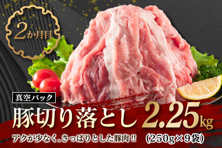 数量限定 3か月 お楽しみ 定期便 牛肉 豚肉 鶏肉 バラエティ セット 総重量5kg_FG13-26