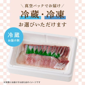 【単月お届け】大和海商 大和のこだわり漁師のお刺身6人前【冷蔵】 N072-YA5531-1