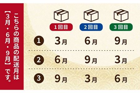 【3回定期便】五島蒲鉾詰め合わせBセット 五島市/浜口水産[PAI015] かまぼこ すり身 つみれ ギフト 練り物 天ぷら 詰め合わせ セット おつまみ