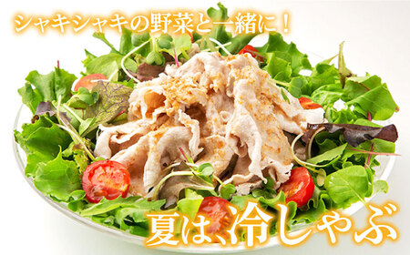 【6回定期便】五島豚の豚しゃぶ500g（250g×2パック） 五島市/ニク勝[PBF022]  しゃぶしゃぶ 豚肉 国産 五島 肉 ぶたしゃぶ 豚しゃぶ