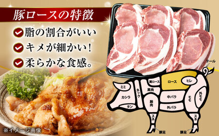【12回定期便】五島豚 極厚ロース1.2kg （200g×6枚）五島市/肉のマルヒサ[PCV036] 