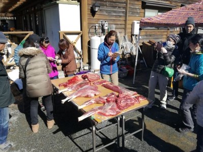富士山の麓で‘鹿の解体’体験（2～15名）◇【体験　自然】