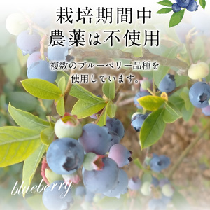 ブルーベリージャム2個セット _U126-0003