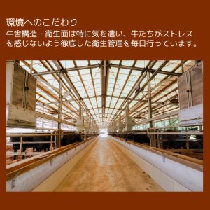 isa336 鹿児島県産黒毛和牛 伊佐黒王牛リブロース焼肉用！(500g)ブランド牛 牛肉 国産 九州産 鹿児島県産 ロース 焼肉 和牛 ギフト 肉 贈り物 プレゼント BBQ【プラン・ビー】
