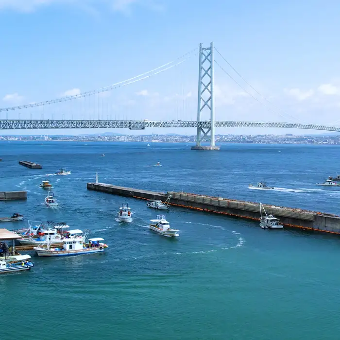 淡路島の生しらす（5食入り） しらす