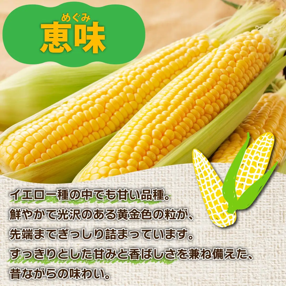 ＜先行予約＞北海道産 とうもろこし(恵味/ホイップコーン) 計20本【55250487】