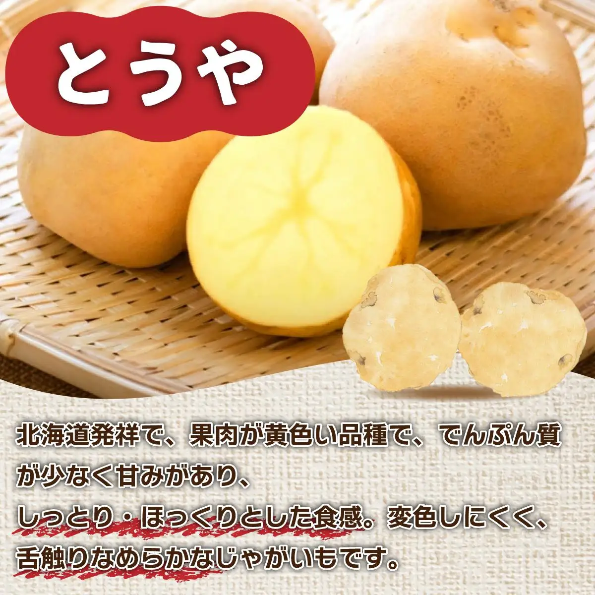 ＜先行予約＞北海道産 じゃがいも2種(とうや/北あかり) 約10kg【55250488】