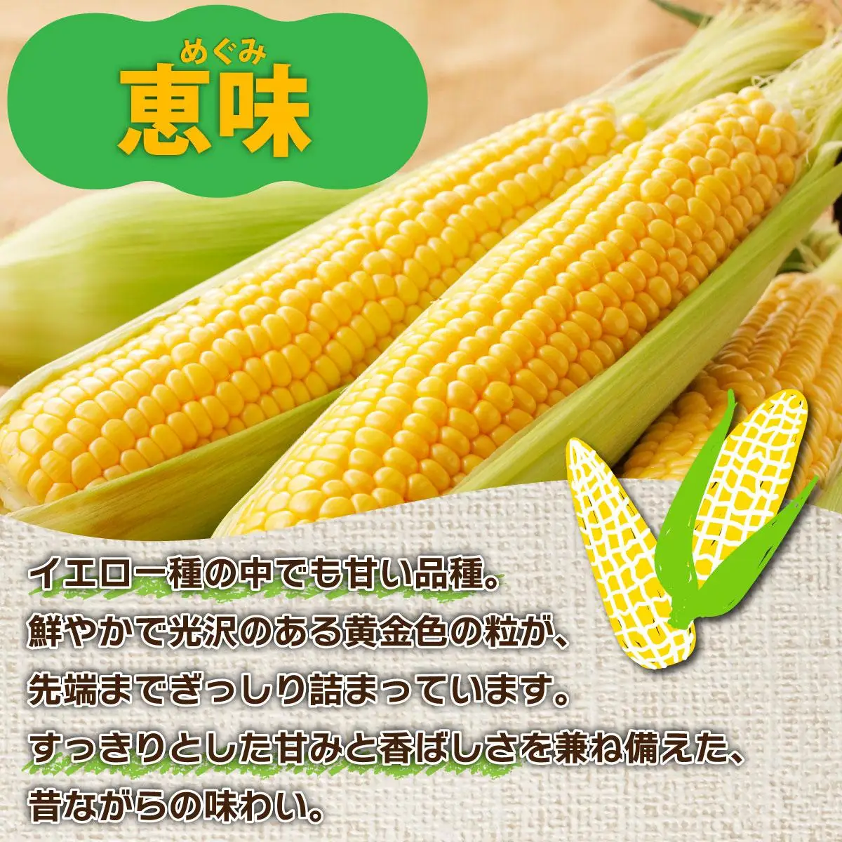 ＜先行予約＞北海道産 とうもろこし 恵味 Lサイズ 10本【55250484】