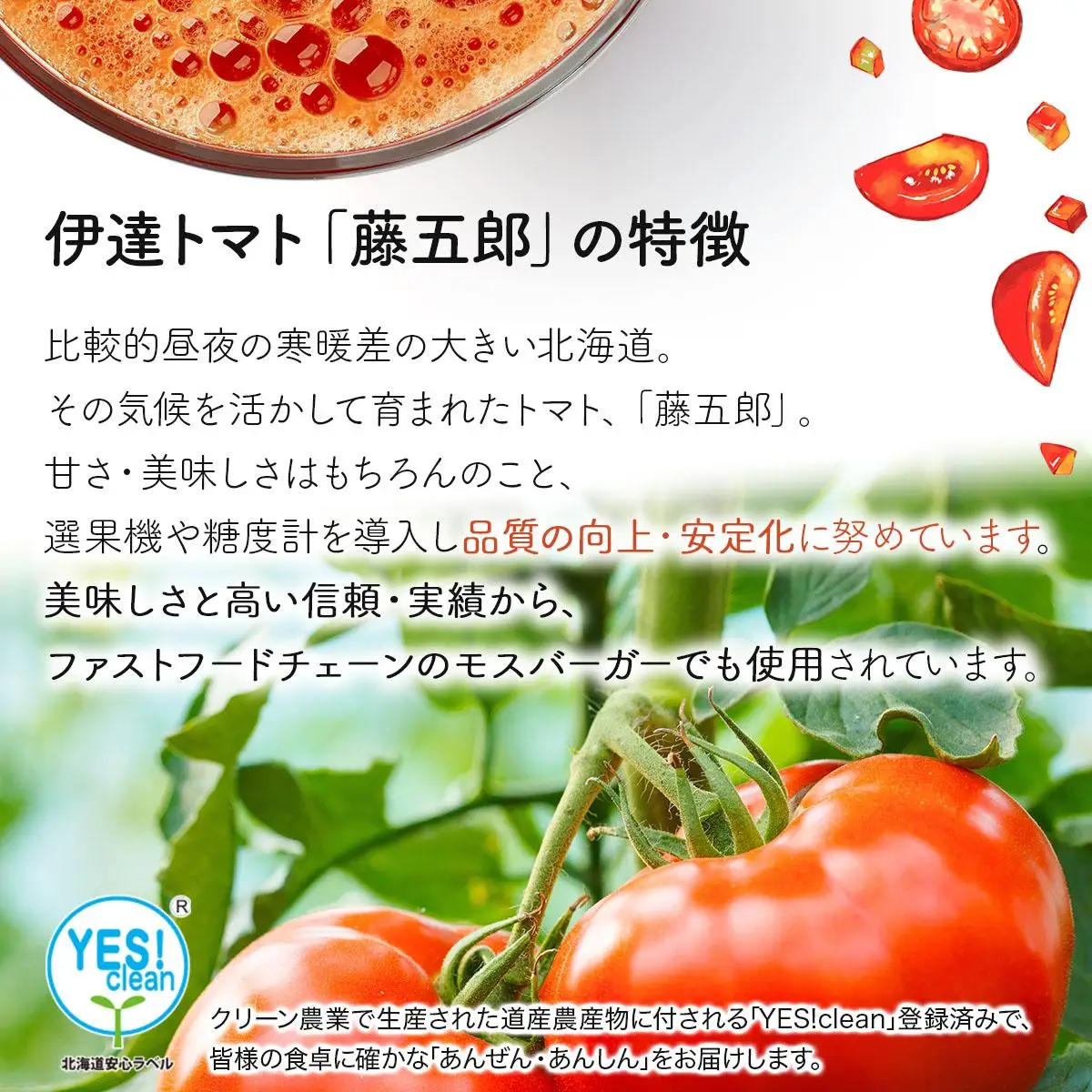 [5525-0528]【藤五郎】トマトジュース30本
