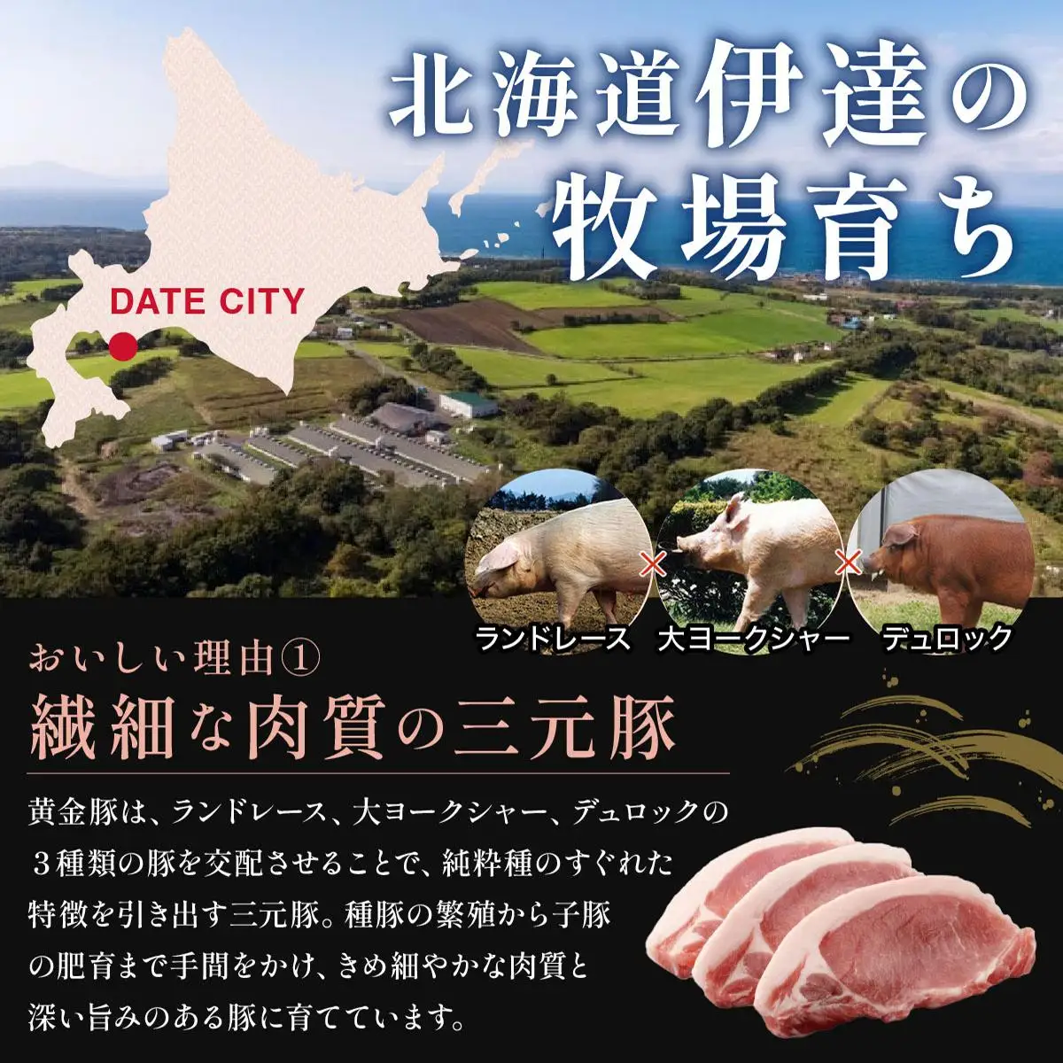 北海道 定期便 隔月3回 豚ひき肉 普通挽き 200g 10パック