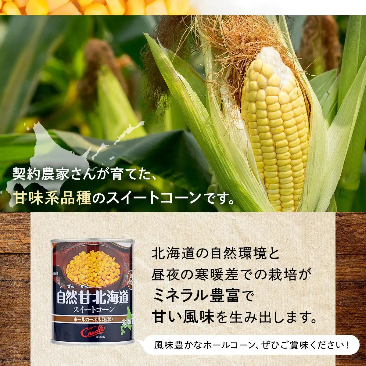 ホールコーン 7号 230g×48缶