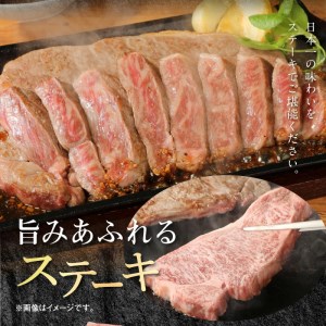 宮崎牛ロースステーキ 250g×2 計500g N0147-YB827