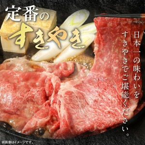 宮崎牛モモスライス500g N0147-YA770