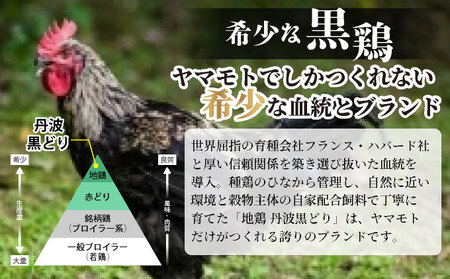 鶏肉 地鶏丹波黒どり ムネ肉 6kg（2kg×3パック）訳あり鶏肉