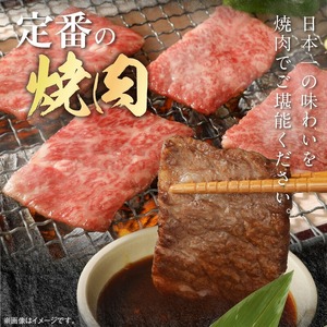 宮崎牛ウデ焼肉用500g N0147-YA772