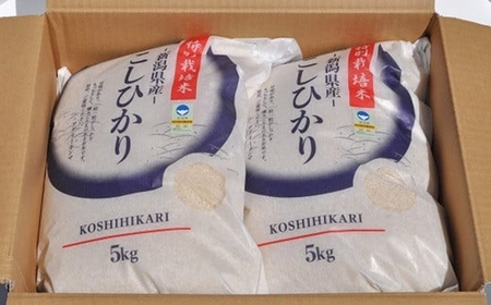 【令和7年産米】コシヒカリ 無洗米 10kg（5kg×2袋） 新潟県認証特別栽培米 お米 新潟県産 アグリーホンマ[Y0365]