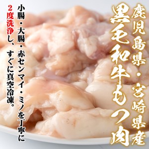 isa341 鹿児島県・宮崎県産黒毛和牛みそもつ鍋(2～3人前) 国産牛 モツ鍋 味噌もつ鍋 モツ 国産 おかず 鍋 ホルモン 冷凍【株式会社ながたや】