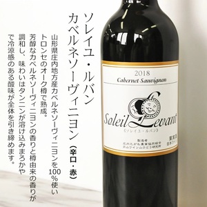 B03-203　庄内の『カベルネソーヴィニヨン』『メルロ』赤ワイン2本セット