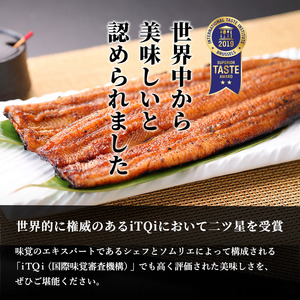 国産うなぎ蒲焼きざみセット（きざみ80g×4袋、蒲焼たれ100ml×1本）【配送不可：離島】 魚貝類 