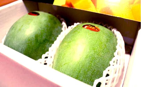 【2026年発送】贈答用　宜野座村産キーツマンゴー「マンゴーの丘」秀品　約2kg フルーツ 甘い 美味しい 特徴 香り お取り寄せ Mango デザート 大きい 希少 贈り物 ビタミン おすすめ 贅沢 栄養価 国産 沖縄県 人気 産地直送 送料無料