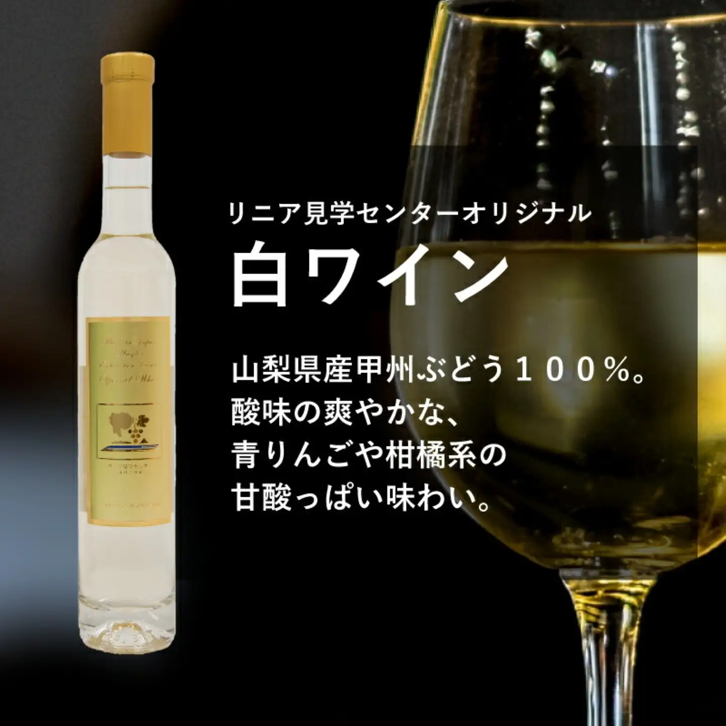 リニア見学センターオリジナルワインセット