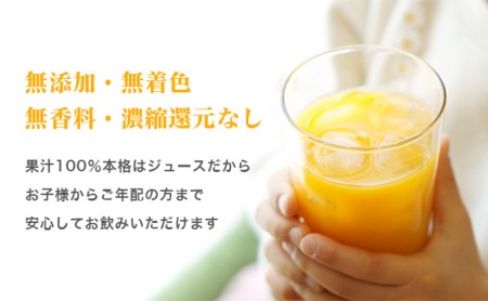 三ヶ日みかんジュース「浜名湖まるごと純粋搾り」720ml 6本【静岡 三ヶ日 みかん ジュース】 果汁飲料 野菜飲料 三ケ日みかん 青島 