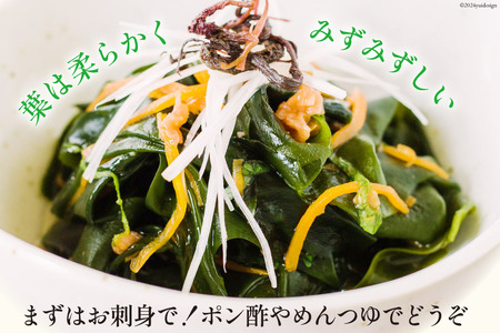 三陸産 おさしみわかめ 300g わかめ [ムラカミ 宮城県 気仙沼市 20563586]
