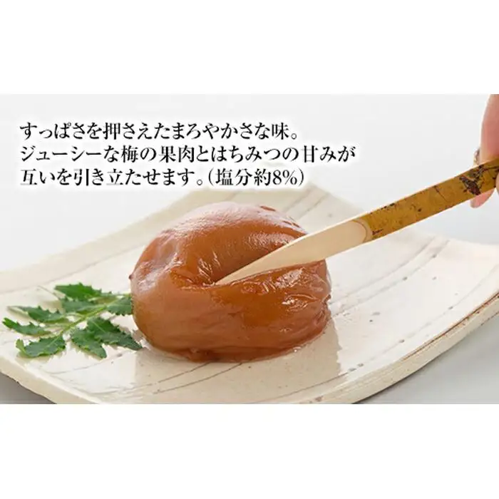 大粒の紀州南高梅 人気のはちみつ仕立て「極」10包　［SB1］