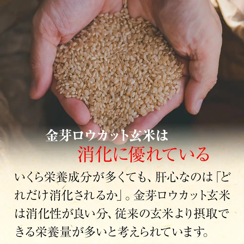 金芽ロウカット玄米 8kg（2kg×4）　玄米・個包装・東洋ライス・人気