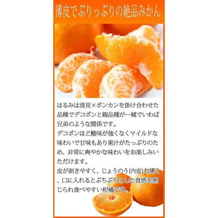 果肉ぷりぷり!完熟はるみ　５ｋｇ［2027年2月上旬頃～2027年2月下旬頃に順次発送］［UT22］
