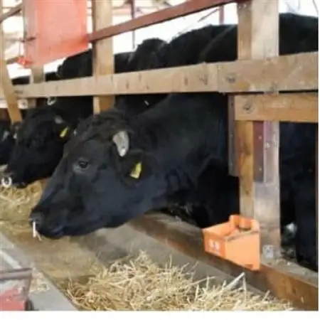 【黒牛の里】知多牛サーロインステーキ200g×3枚【配送不可地域：離島】【1495594】