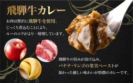 飛騨牛カレー（160ｇ×25袋） | 訳あり ご当地 ビーフカレー レトルト 人気 飛騨高山 ふるさと清見 DC008VC13