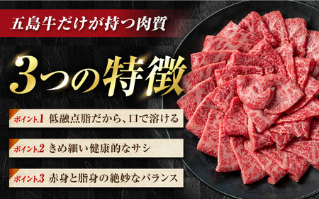 【12回定期便】五島牛焼肉700g（肩ロース300g/バラ 400g） 五島市/ごとう農業協同組合[PAF013] 冷凍 国産牛 牛肉 ブランド牛 焼き肉 セット